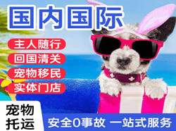 大兴机场托运国际宠物托运 【国